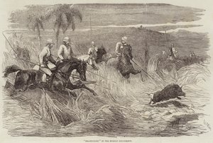 Pig-Sticking v Bombajském předsednictví